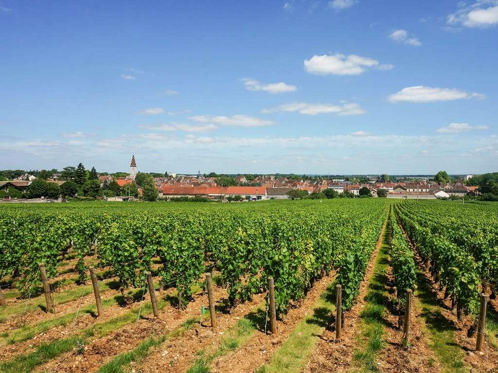 Ibis Budget Nuits Saint Georges Facilities photo